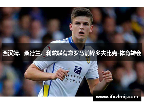 西汉姆、桑德兰、利兹联有意罗马前锋多夫比克-体育转会